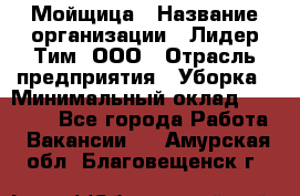 Мойщица › Название организации ­ Лидер Тим, ООО › Отрасль предприятия ­ Уборка › Минимальный оклад ­ 20 000 - Все города Работа » Вакансии   . Амурская обл.,Благовещенск г.